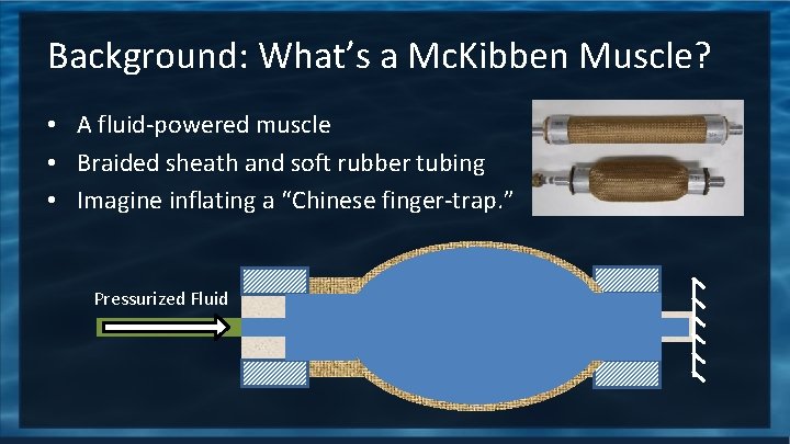 Background: What’s a Mc. Kibben Muscle? • A fluid-powered muscle • Braided sheath and