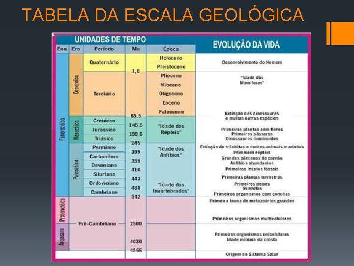 TABELA DA ESCALA GEOLÓGICA 