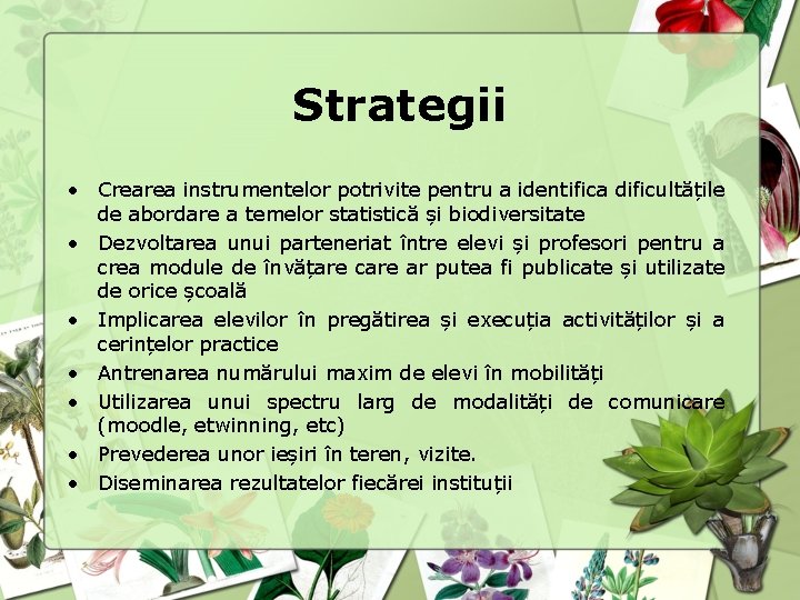 Strategii • Crearea instrumentelor potrivite pentru a identifica dificultățile de abordare a temelor statistică