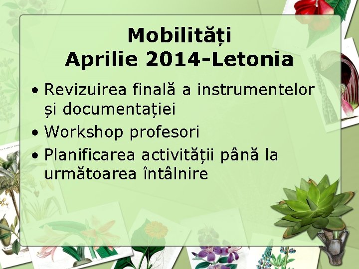 Mobilități Aprilie 2014 -Letonia • Revizuirea finală a instrumentelor și documentației • Workshop profesori