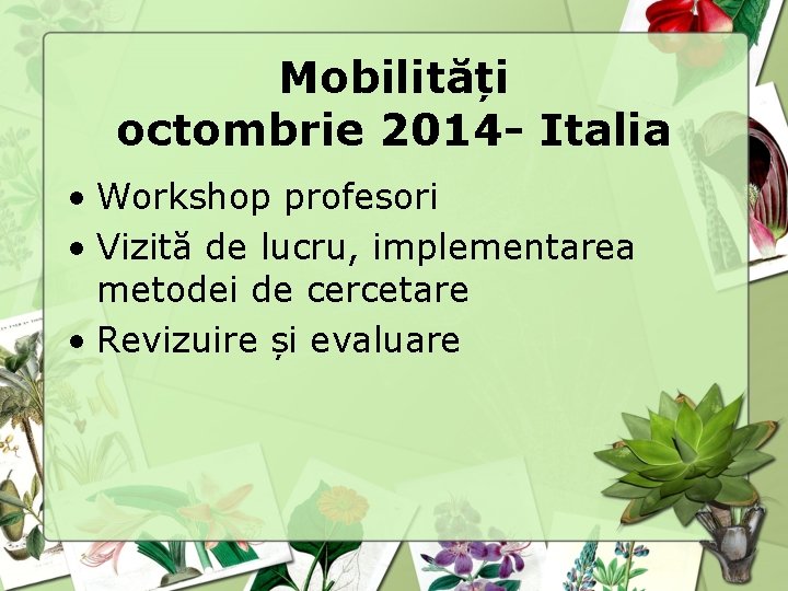 Mobilități octombrie 2014 - Italia • Workshop profesori • Vizită de lucru, implementarea metodei