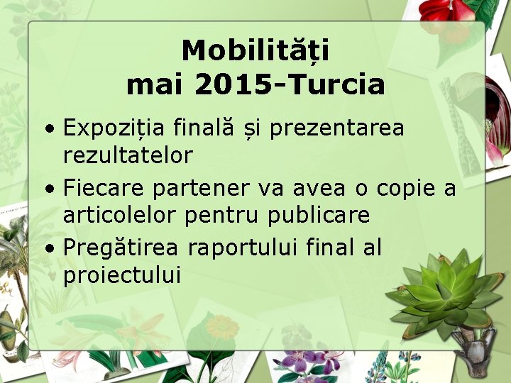 Mobilități mai 2015 -Turcia • Expoziția finală și prezentarea rezultatelor • Fiecare partener va