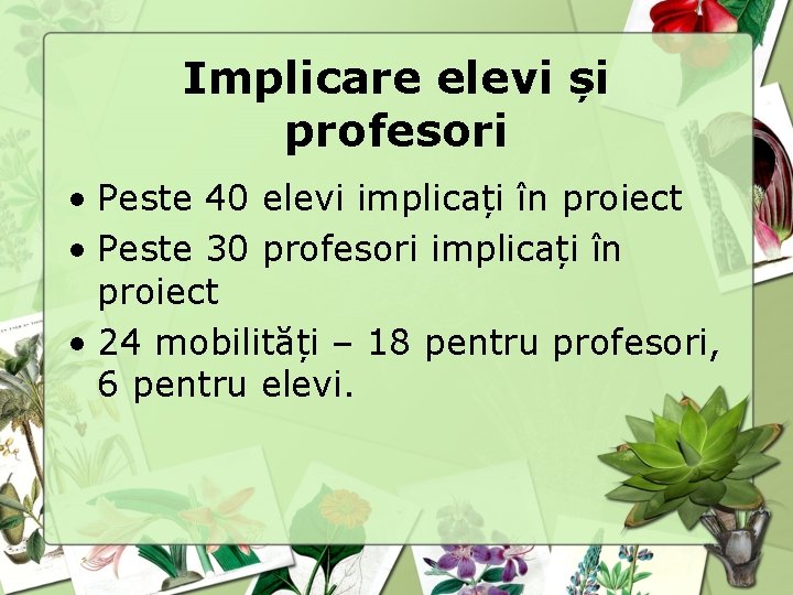 Implicare elevi și profesori • Peste 40 elevi implicați în proiect • Peste 30