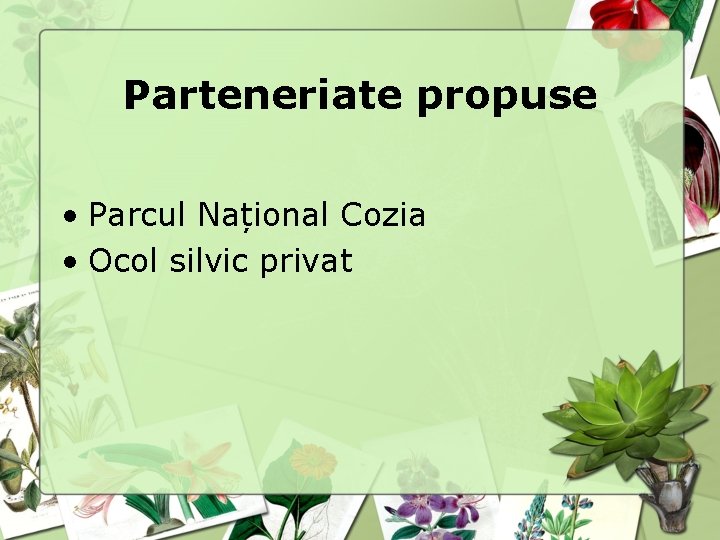 Parteneriate propuse • Parcul Național Cozia • Ocol silvic privat 