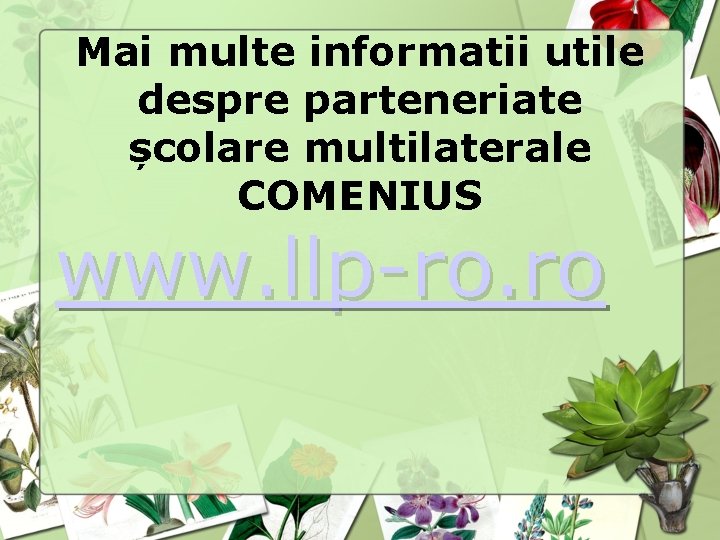 Mai multe informatii utile despre parteneriate școlare multilaterale COMENIUS www. llp-ro. ro 