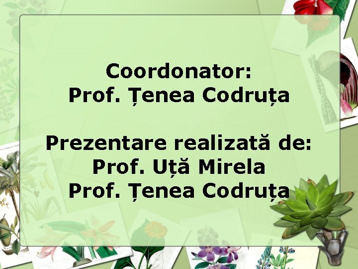 Coordonator: Prof. Țenea Codruța Prezentare realizată de: Prof. Uță Mirela Prof. Țenea Codruța 