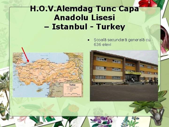 H. O. V. Alemdag Tunc Capa Anadolu Lisesi – Istanbul - Turkey • Școală