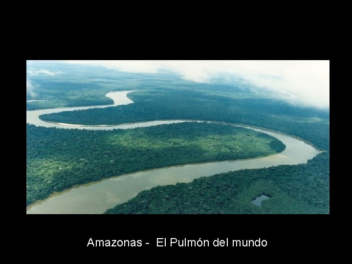 Amazonas - El Pulmón del mundo 