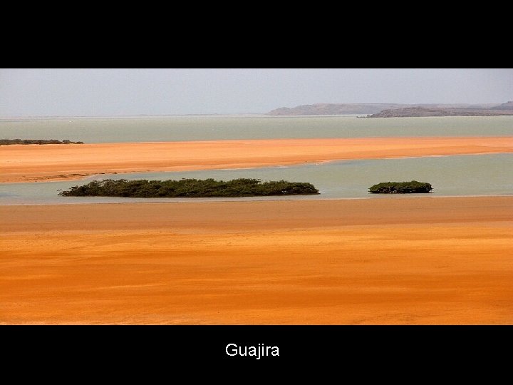 Guajira 