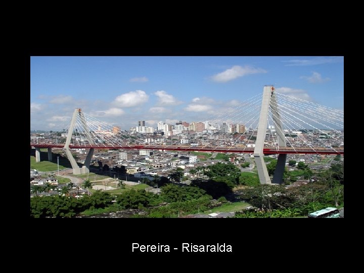 Pereira - Risaralda 