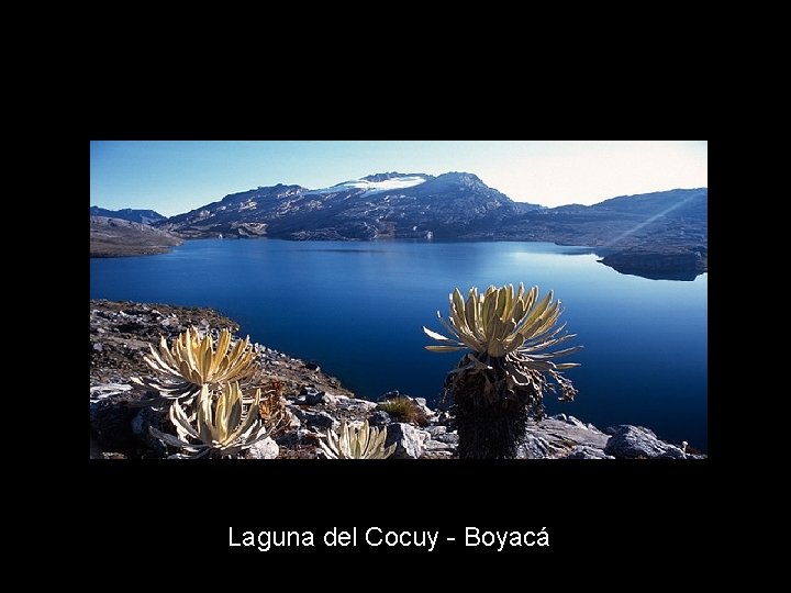 Laguna del Cocuy - Boyacá 