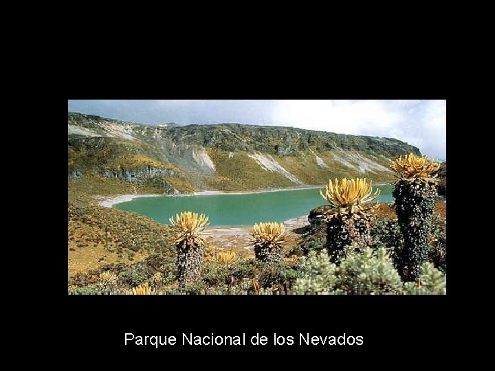 Parque Nacional de los Nevados 