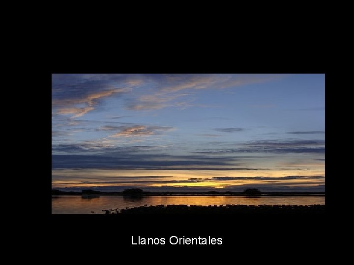 Llanos Orientales 