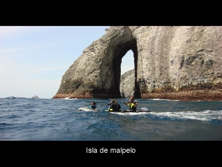 Isla de malpelo 