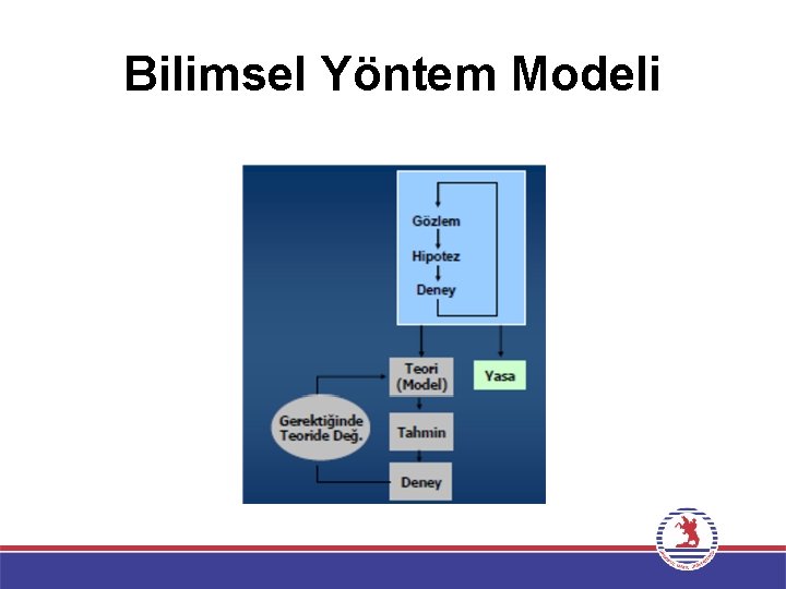 Bilimsel Yöntem Modeli 