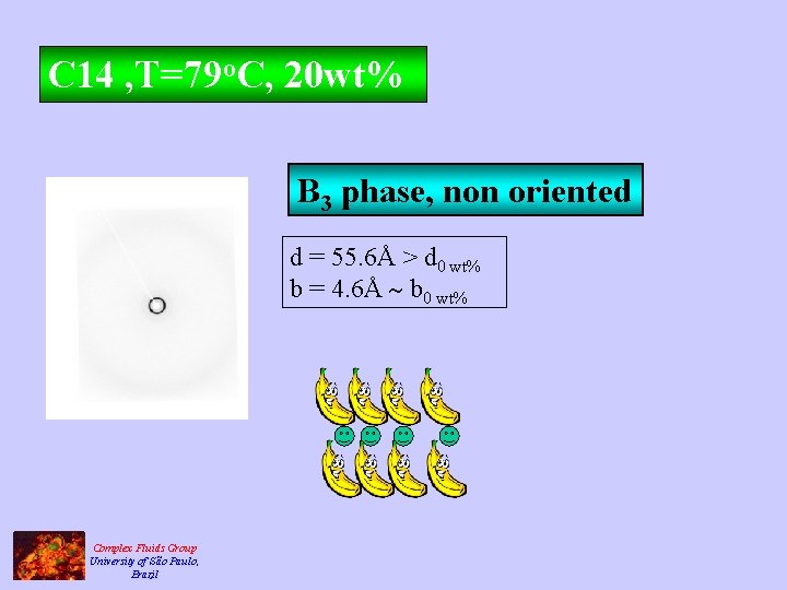 C 14 , T=79 o. C, 20 wt% B 3 phase, non oriented d