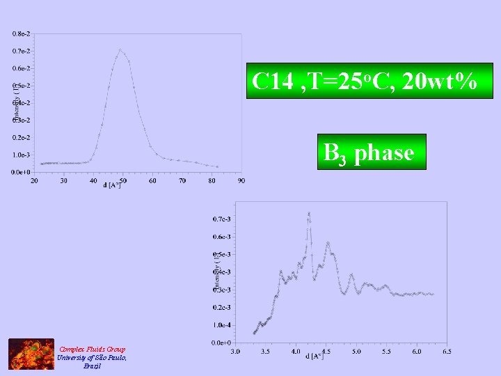 C 14 , T=25 o. C, 20 wt% B 3 phase Complex Fluids Group