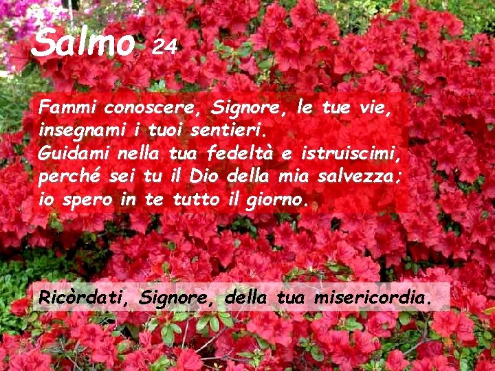 Salmo 24 Fammi conoscere, Signore, le tue vie, insegnami i tuoi sentieri. Guidami nella