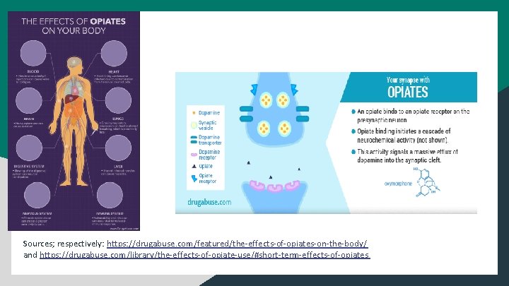 Sources; respectively: https: //drugabuse. com/featured/the-effects-of-opiates-on-the-body/ and https: //drugabuse. com/library/the-effects-of-opiate-use/#short-term-effects-of-opiates 