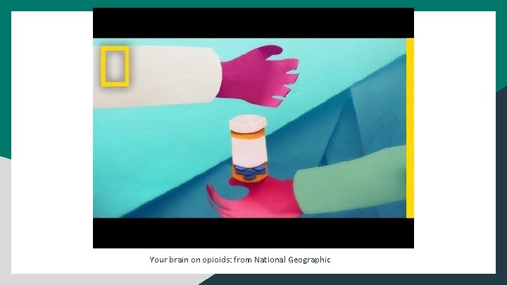 Your brain on opioids: from National Geographic 