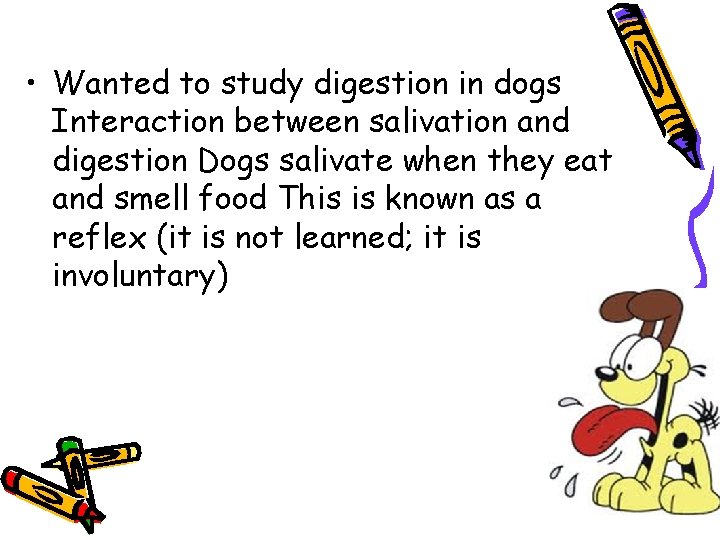  • Wanted to study digestion in dogs Interaction between salivation and digestion Dogs