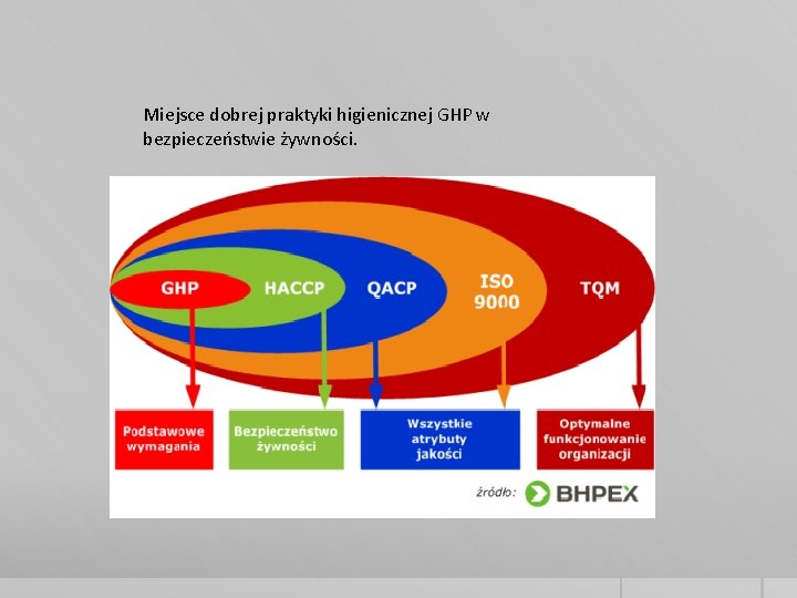 Miejsce dobrej praktyki higienicznej GHP w bezpieczeństwie żywności. 