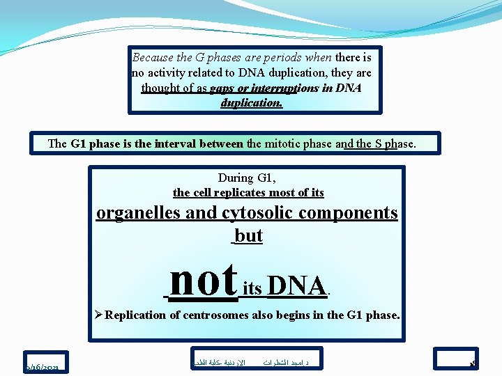 Because the G phases are periods when there is no activity related to DNA