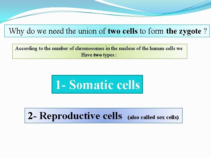 Why do we need the union of two cells to form the zygote ?