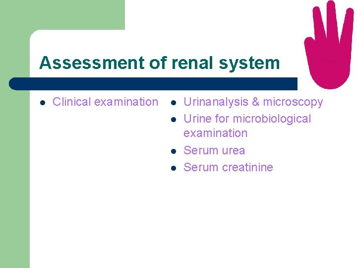 Assessment of renal system l Clinical examination l l Urinanalysis & microscopy Urine for