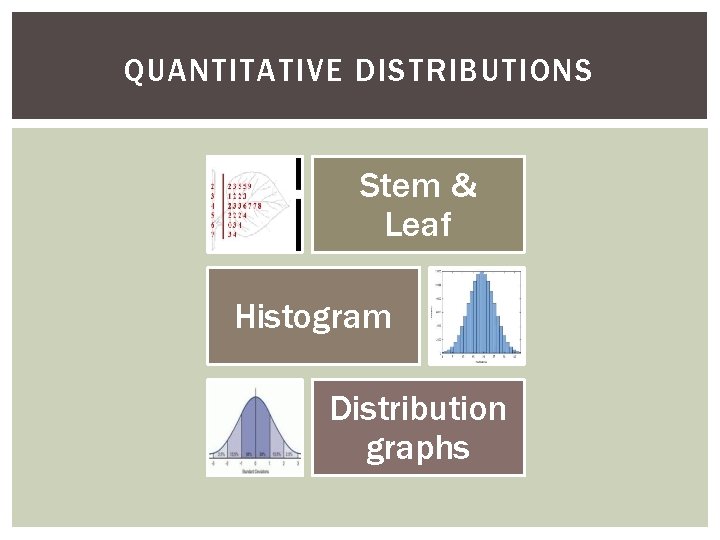 QUANTITATIVE DISTRIBUTIONS Stem & Leaf Histogram Distribution graphs 