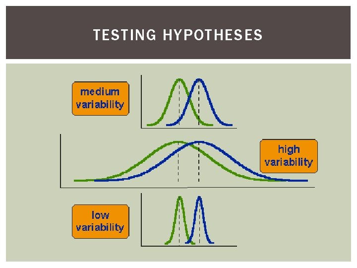 TESTING HYPOTHESES 