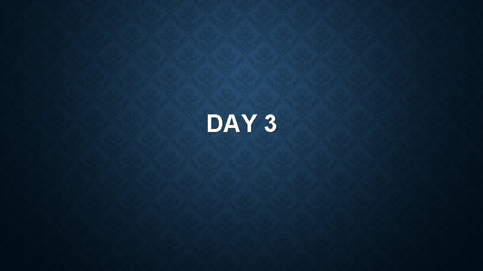 DAY 3 