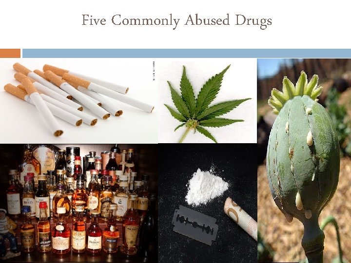 Five Commonly Abused Drugs 