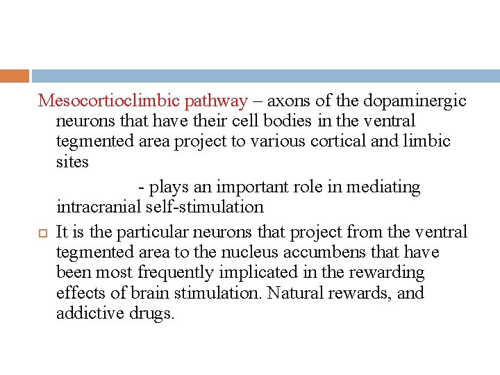 Mesocortioclimbic pathway – axons of the dopaminergic neurons that have their cell bodies in