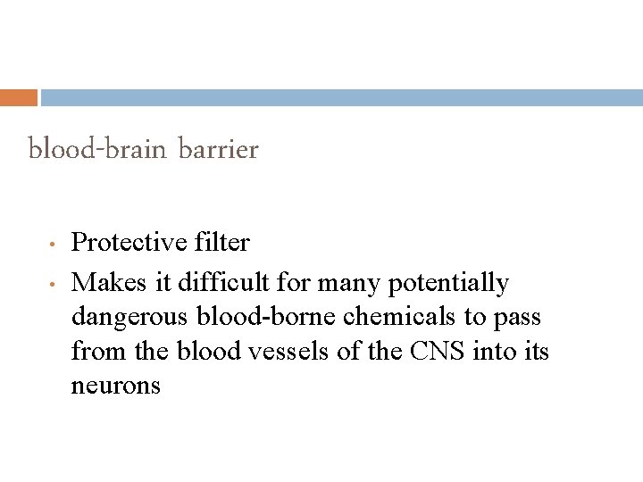 blood-brain barrier • • Protective filter Makes it difficult for many potentially dangerous blood-borne