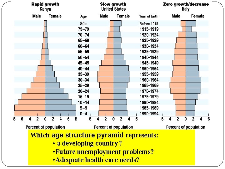 Which age structure pyramid represents: • a developing country? • Future unemployment problems? •