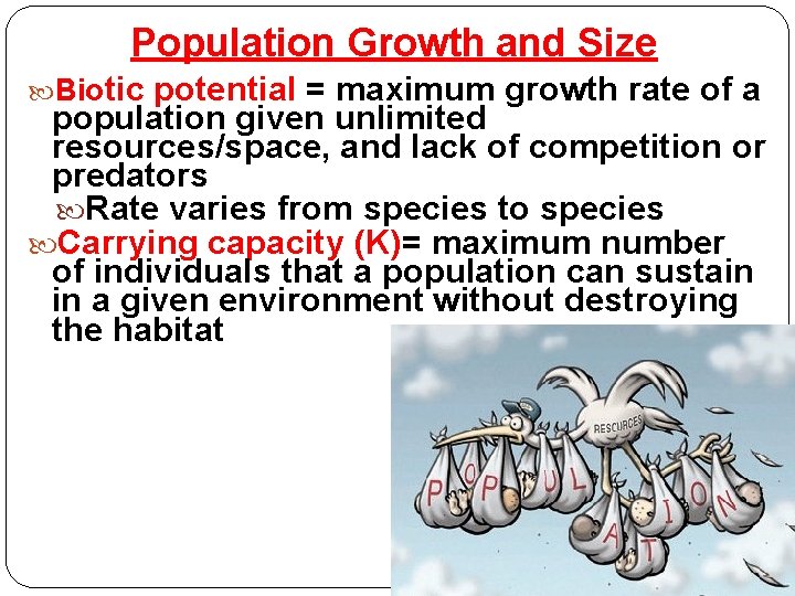 Population Growth and Size Biotic potential = maximum growth rate of a population given