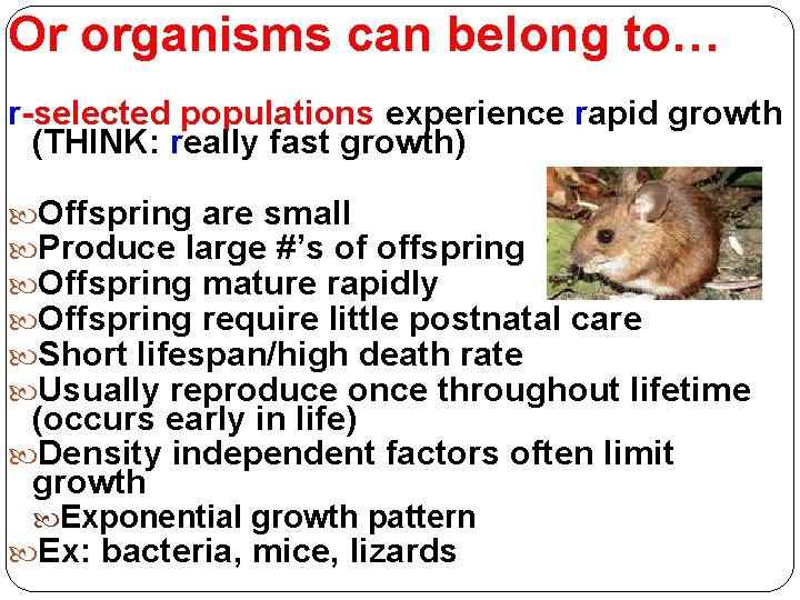Or organisms can belong to… r-selected populations experience rapid growth (THINK: really fast growth)