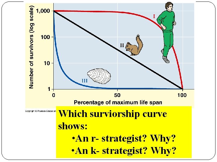Which surviorship curve shows: • An r- strategist? Why? • An k- strategist? Why?