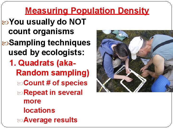 Measuring Population Density You usually do NOT count organisms Sampling techniques used by ecologists: