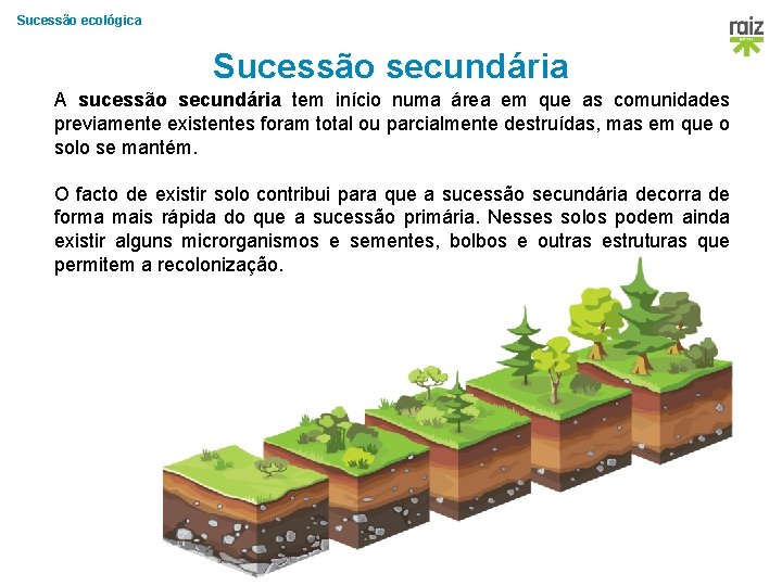 Sucessão ecológica Sucessão secundária A sucessão secundária tem início numa área em que as