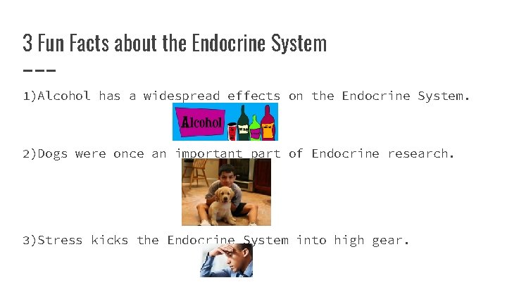 3 Fun Facts about the Endocrine System 1)Alcohol has a widespread effects on the