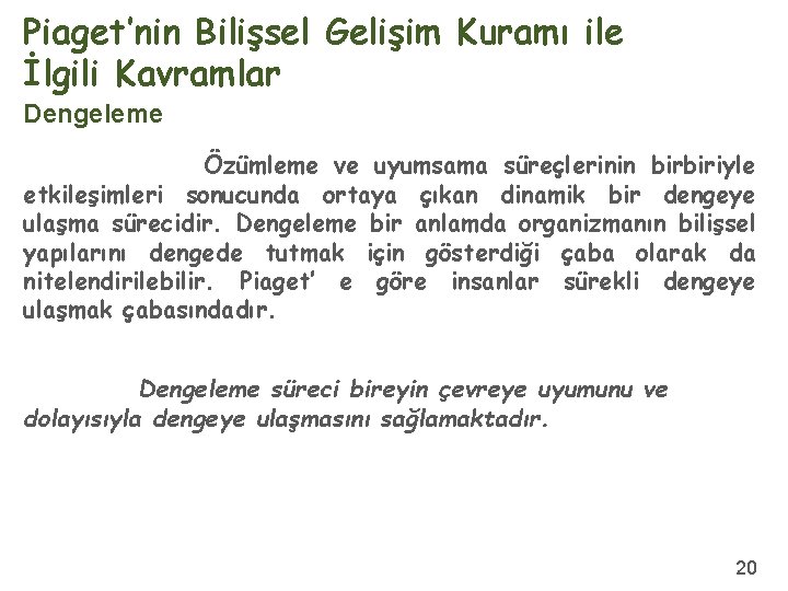 Piaget’nin Bilişsel Gelişim Kuramı ile İlgili Kavramlar Dengeleme Özümleme ve uyumsama süreçlerinin birbiriyle etkileşimleri