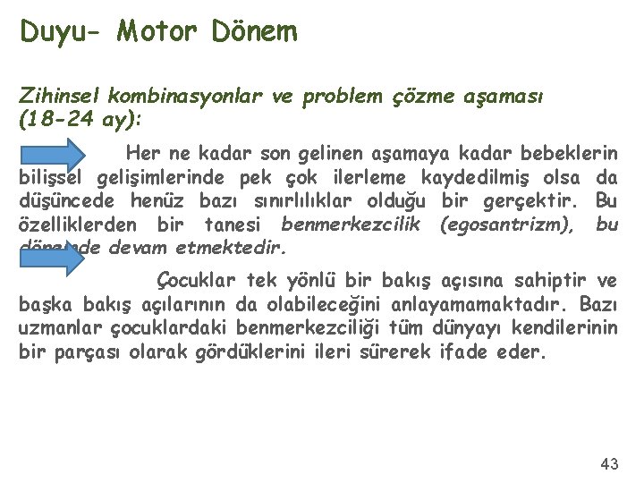 Duyu- Motor Dönem Zihinsel kombinasyonlar ve problem çözme aşaması (18 -24 ay): Her ne