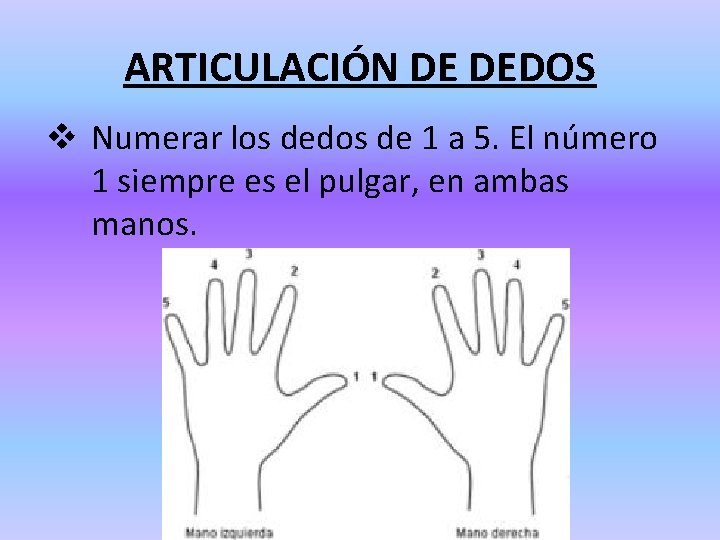 ARTICULACIÓN DE DEDOS v Numerar los dedos de 1 a 5. El número 1