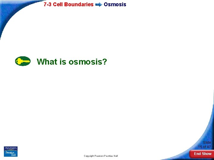7 -3 Cell Boundaries Osmosis What is osmosis? Slide 15 of 47 Copyright Pearson