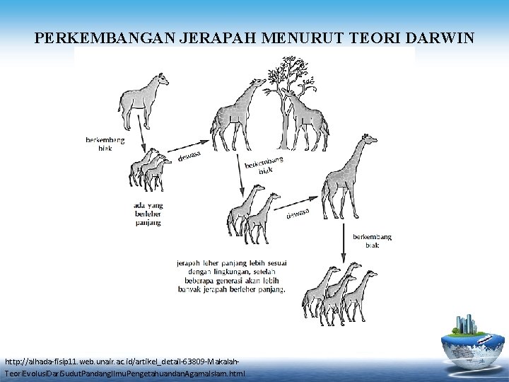 PERKEMBANGAN JERAPAH MENURUT TEORI DARWIN http: //alhada-fisip 11. web. unair. ac. id/artikel_detail-63809 -Makalah. Teori.