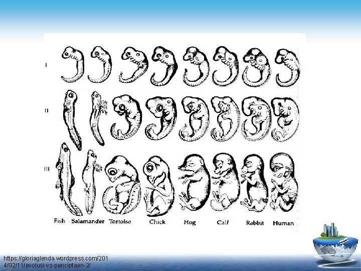 https: //gloriaglenda. wordpress. com/201 4/02/11/evolusi-vs-penciptaan-2/ 