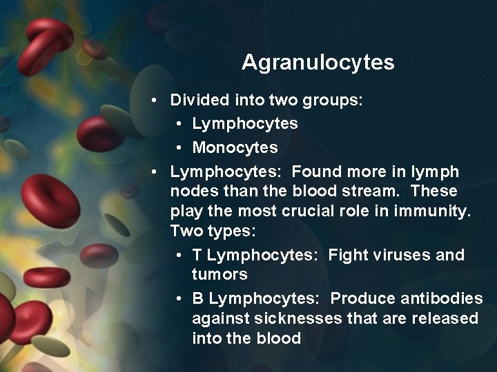 Agranulocytes • Divided into two groups: • Lymphocytes • Monocytes • Lymphocytes: Found more