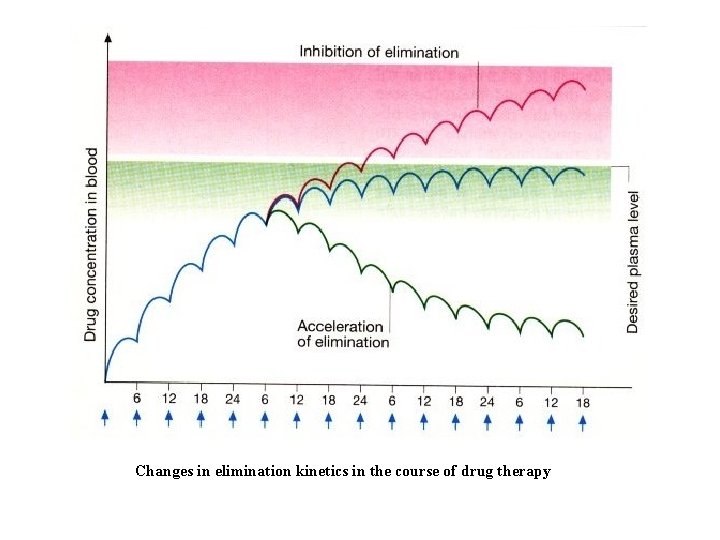 Changes in elimination kinetics in the course of drug therapy 